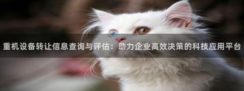 顺盈娱乐平台登录