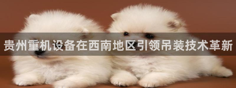顺盈娱乐注册平台怎么样：贵州重机设备在西南地区引领吊装技术革