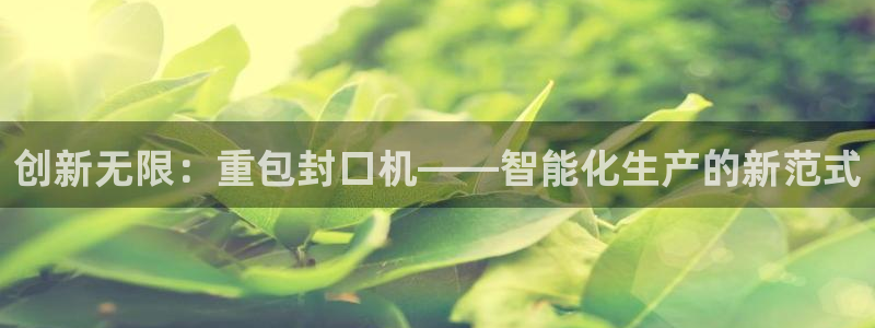 顺盈娱乐直究7276O：创新无限：重包封口机——智能化生产的