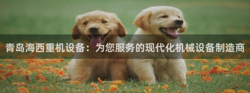 顺盈娱乐322901：青岛海西重机设备：为您服务的现代化机械