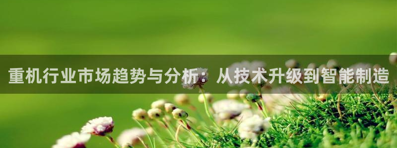 顺盈娱乐注册更究333OO：重机行业市场趋势与分析：从技术升