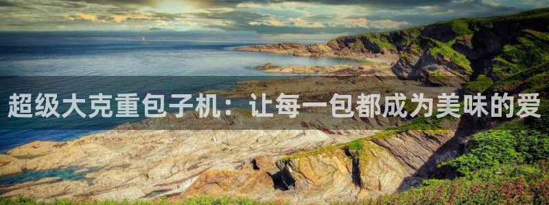 顺盈娱乐平台注册：超级大克重包子机：让每一包都成为美味的爱