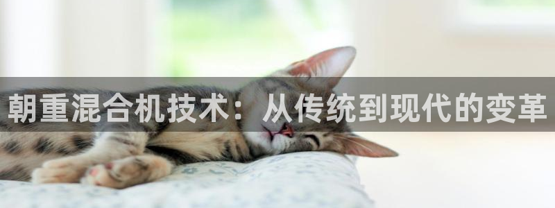 顺盈童欢娱乐有限公司：朝重混合机技术：从传统到现代的变革