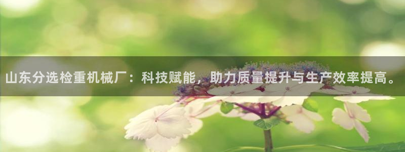 清远顺盈娱乐公司推荐