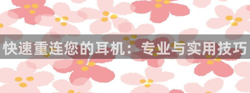 顺盈娱乐招商下原判官333OO：快速重连您的耳机：专业与实用