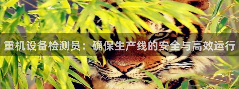 三水区顺盈棋牌娱乐：重机设备检测员：确保生产线的安全与高效运