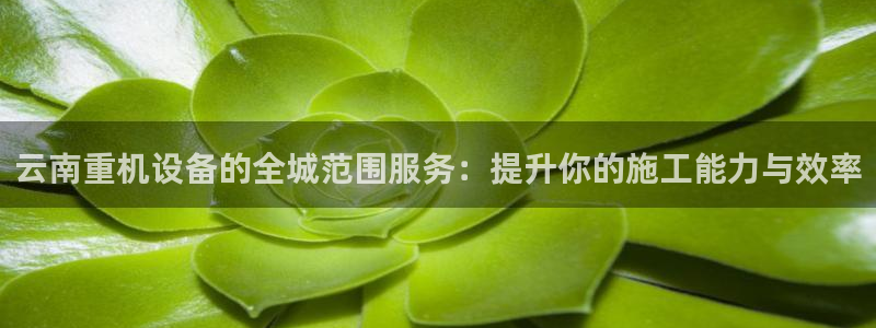 应县盈顺休闲娱乐室：云南重机设备的全城范围服务：提升你的施工