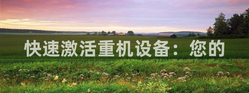 顺盈娱乐注册助判官333OO：快速激活重机设备：您的