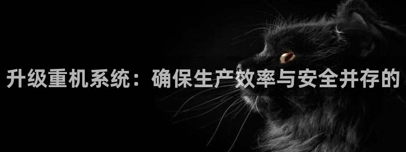 顺盈娱乐登录地址在哪：升级重机系统：确保生产效率与安全并存的