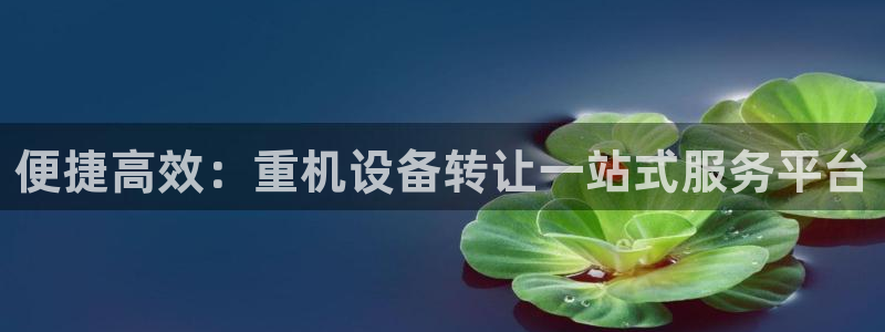 顺盈娱乐彩票官网：便捷高效：重机设备转让一站式服务平台