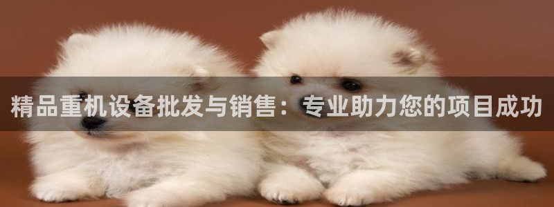 顺盈娱乐队究7276O