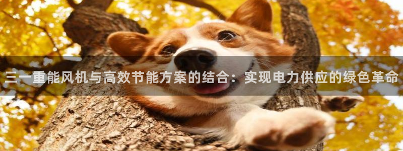 清城区顺盈娱乐：三一重能风机与高效节能方案的结合：实现电力供