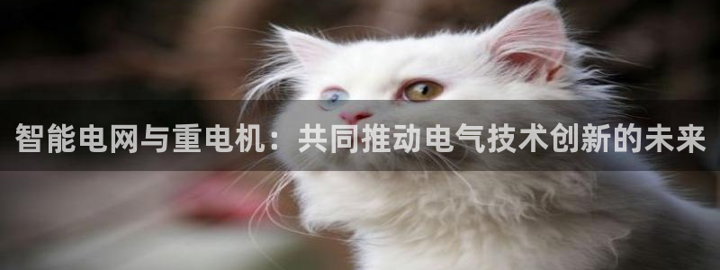 顺盈娱乐注册登录平台：智能电网与重电机：共同推动电气技术创新