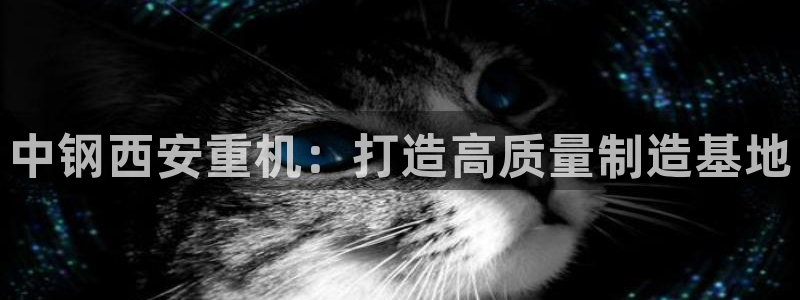 顺盈娱乐招商网判官333OO：中钢西安重机：打造高质量制造基