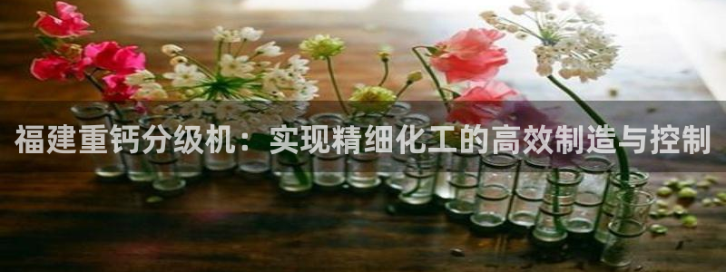 顺盈娱乐下载官网最新版：福建重钙分级机：实现精细化工的高效制