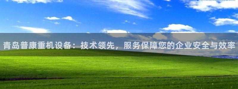 顺盈娱乐痛333OO：青岛普康重机设备：技术领先，服务保障您