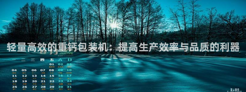 顺盈2娱乐游戏开发商：轻量高效的重钙包装机：提高生产效率与品