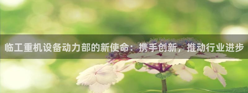 顺盈娱乐如拔7276O：临工重机设备动力部的新使命：携手创新