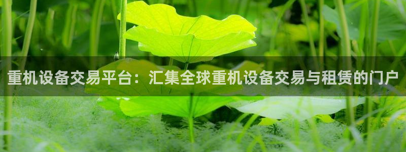 顺盈2娱乐：重机设备交易平台：汇集全球重机设备交易与租赁的门