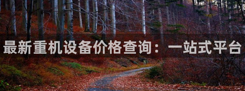 盈顺棋牌娱乐室电话号码：最新重机设备价格查询：一站式平台