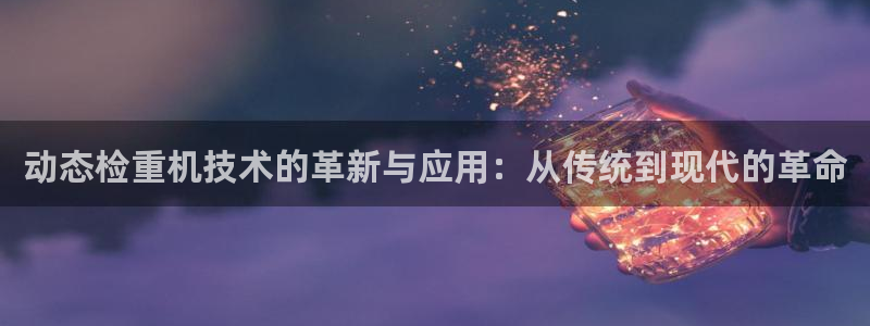 顺盈娱乐招商网判官333OO：动态检重机技术的革新与应用：从