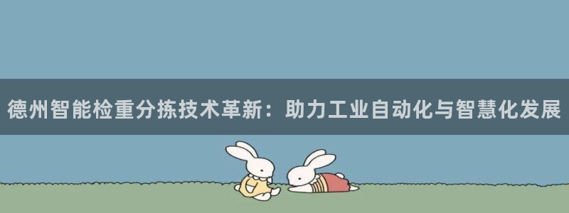 顺盈娱乐平台最新活动：德州智能检重分拣技术革新：助力工业自动