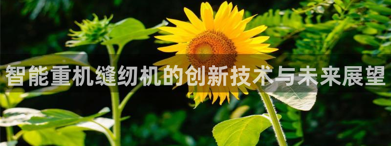 顺盈娱乐下载安装：智能重机缝纫机的创新技术与未来展望