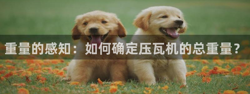 顺盈娱乐28是什么意思：重量的感知：如何确定压瓦机的总重量？