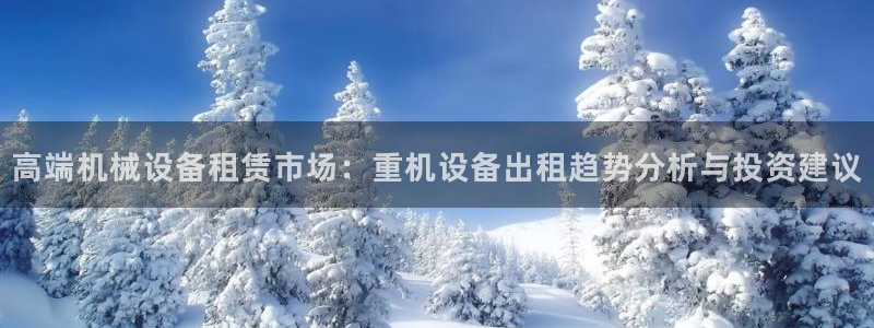 顺盈娱乐平台官网电话：高端机械设备租赁市场：重机设备出租趋势