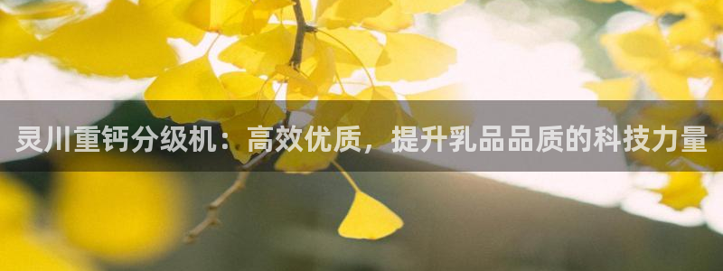 顺盈娱乐主管怎么样：灵川重钙分级机：高效优质，提升乳品品质的