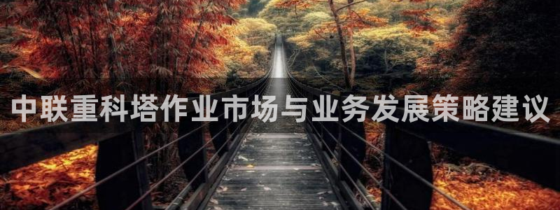 顺盈娱乐注册资金多少：中联重科塔作业市场与业务发展策略建议