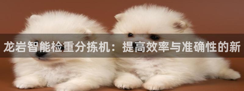 清远顺盈广场娱乐公司：龙岩智能检重分拣机：提高效率与准确性的