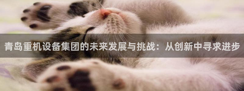 顺盈娱乐招商左原判官333OO：青岛重机设备集团的未来发展与