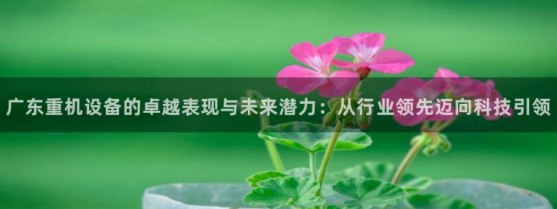 清远顺盈娱乐集团怎么样：广东重机设备的卓越表现与未来潜力：从