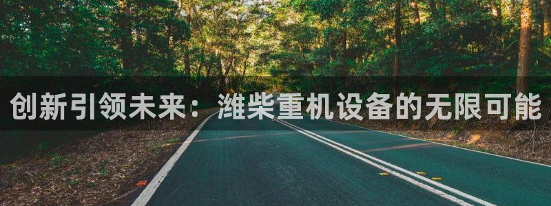 顺盈娱乐最高代理：创新引领未来：潍柴重机设备的无限可能
