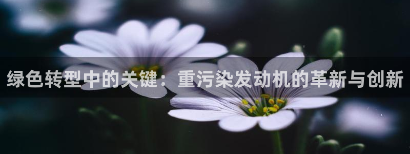 顺盈娱乐招商下原判官333OO：绿色转型中的关键：重污染发动