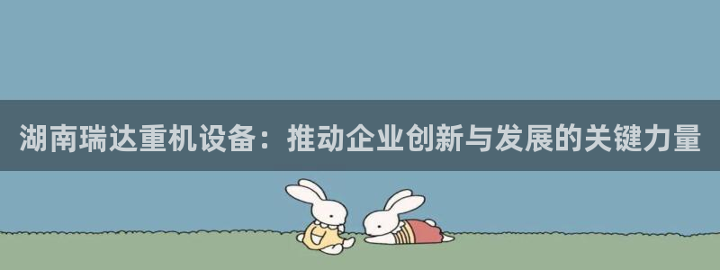 顺盈时代广场娱乐城：湖南瑞达重机设备：推动企业创新与发展的关