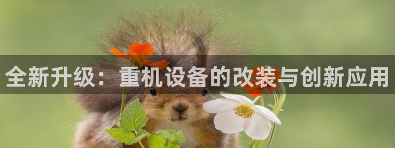 顺盈娱乐975949：全新升级：重机设备的改装与创新应用