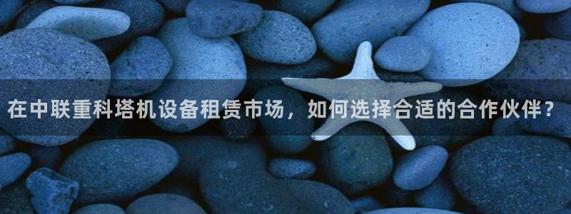 盈顺休闲娱乐室团购价格：在中联重科塔机设备租赁市场，如何选择