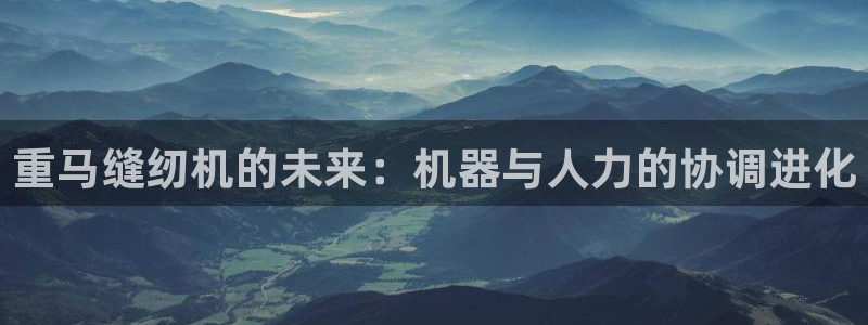 顺盈娱乐平台注册地址：重马缝纫机的未来：机器与人力的协调进化