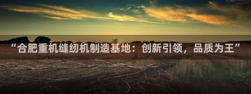 顺盈娱乐铜333OO：“合肥重机缝纫机制造基地：创新引领，品