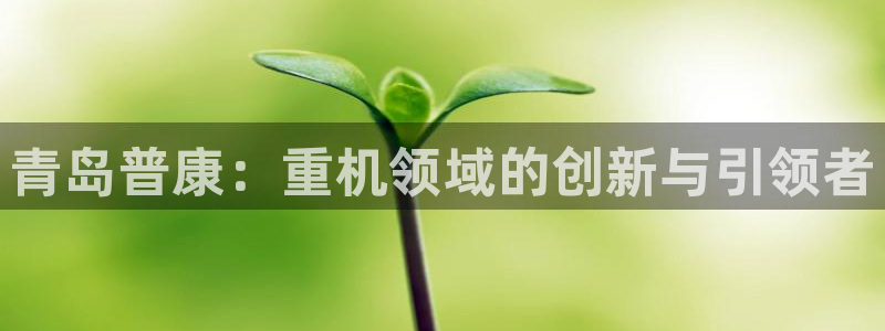 顺盈2娱乐：青岛普康：重机领域的创新与引领者