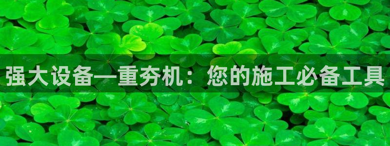 顺盈2娱乐主管刘判官333OO：强大设备—重夯机：您的施工必