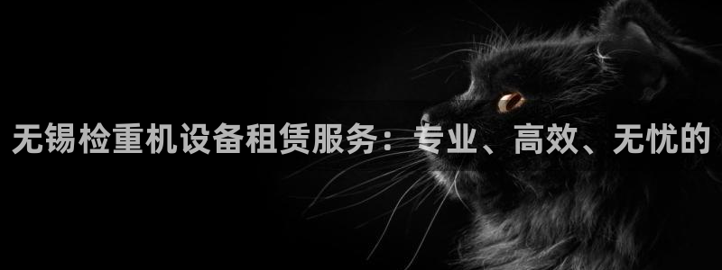 顺盈娱乐注册登录：无锡检重机设备租赁服务：专业、高效、无忧的