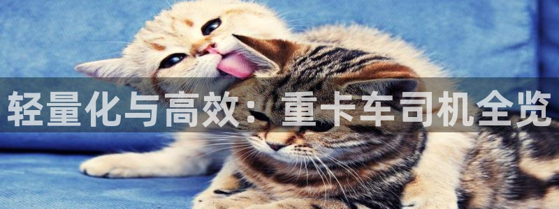 顺盈娱乐在线开户流程：轻量化与高效：重卡车司机全览