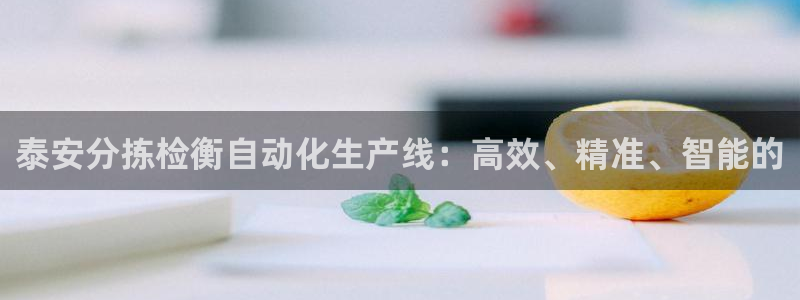顺盈娱乐注册问一问：泰安分拣检衡自动化生产线：高效、精准、智
