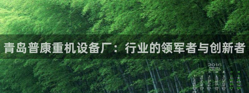 顺盈娱乐402201：青岛普康重机设备厂：行业的领军者与创新