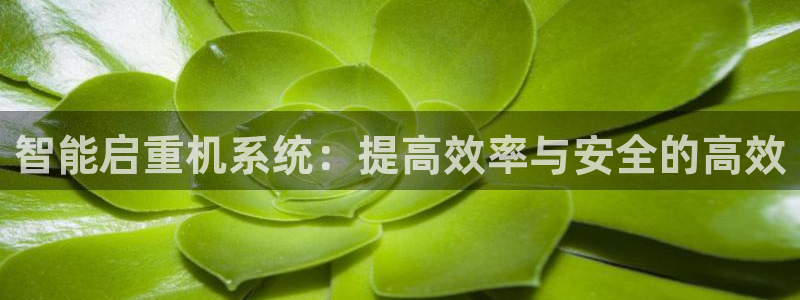 顺盈娱乐注册登录平台：智能启重机系统：提高效率与安全的高效