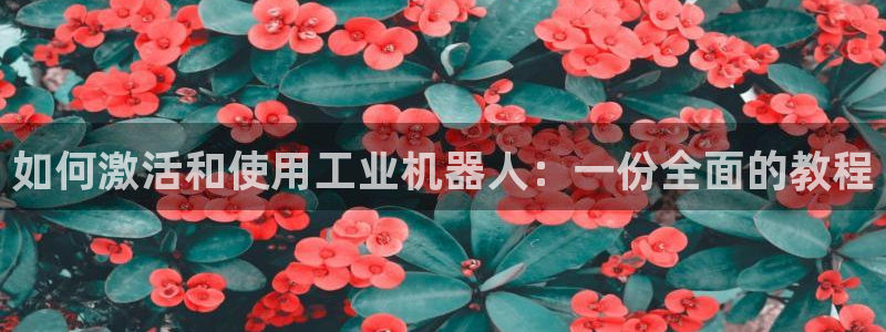 盈顺休闲娱乐室团购价格：如何激活和使用工业机器人：一份全面的