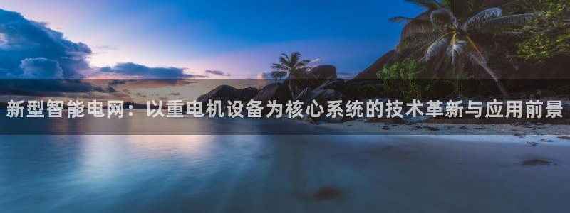 顺盈娱乐平台最新活动：新型智能电网：以重电机设备为核心系统的